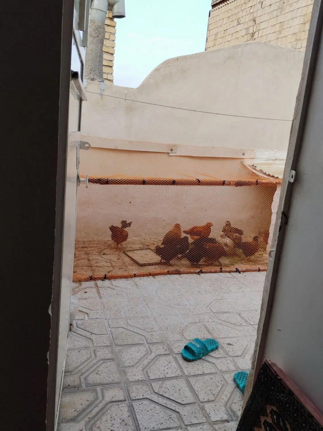تصویر 19