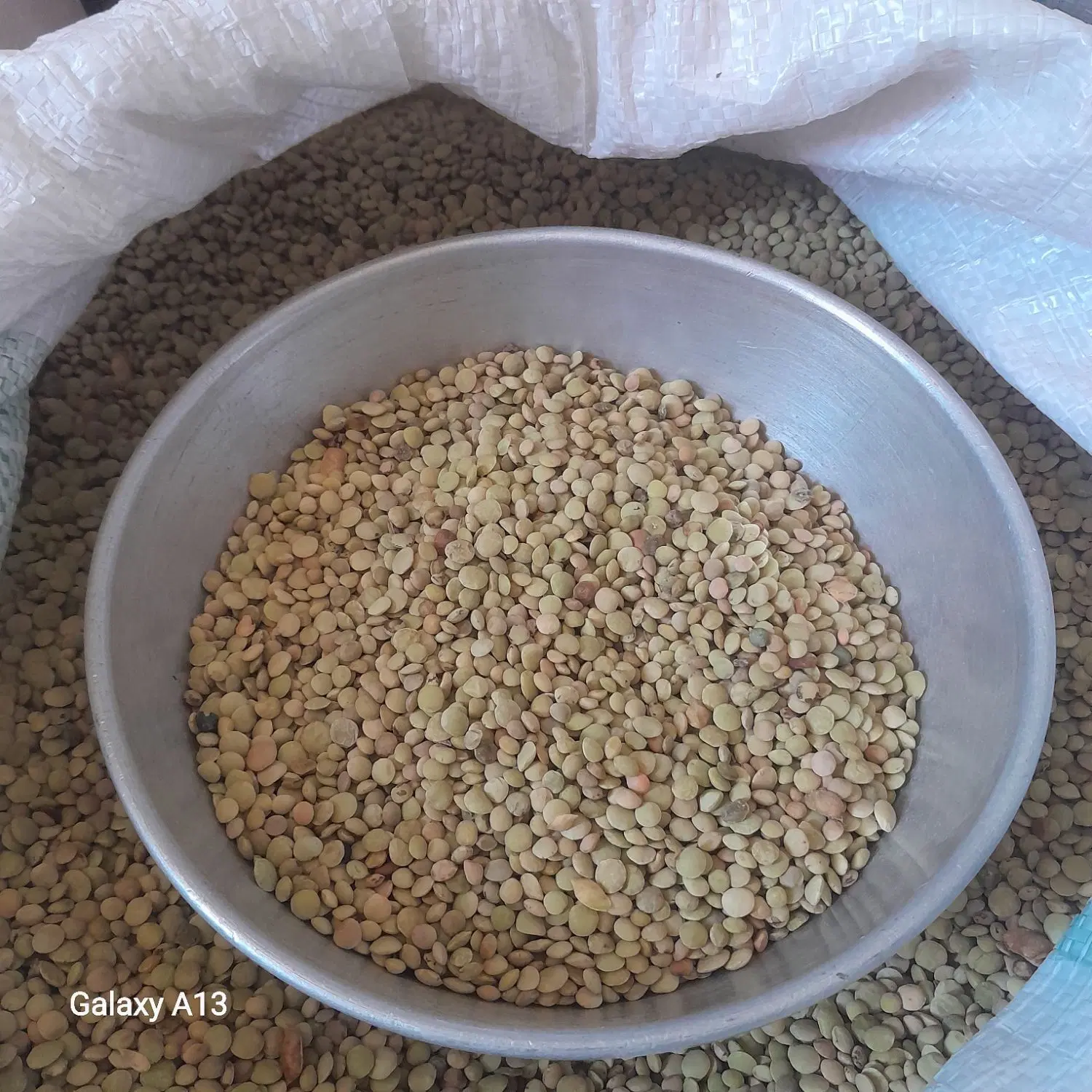 عدس|خوردنی و آشامیدنی|کالپوش, |دیوار