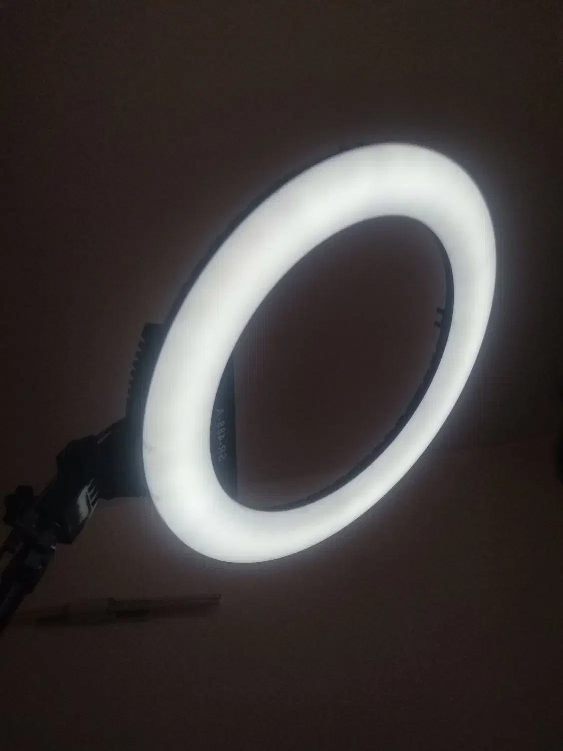 رینگ لایت|دوربین عکاسی و فیلم‌برداری|بیرجند, |دیوار