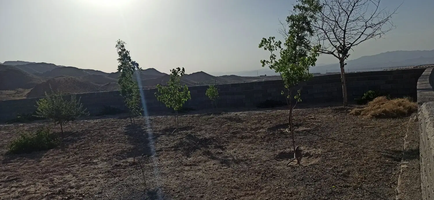 تصویر 5
