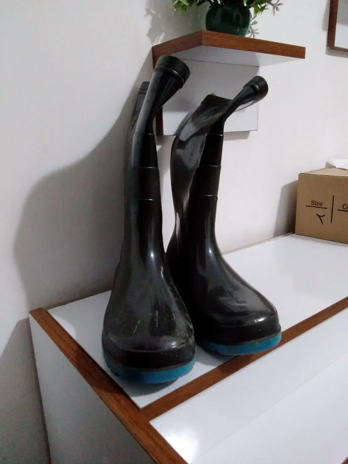 چکمه|کیف، کفش، کمربند|رشت, لاکان|دیوار