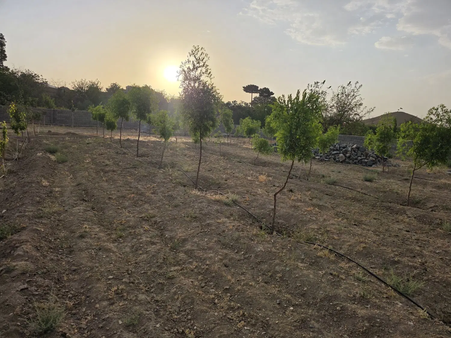 تصویر 7