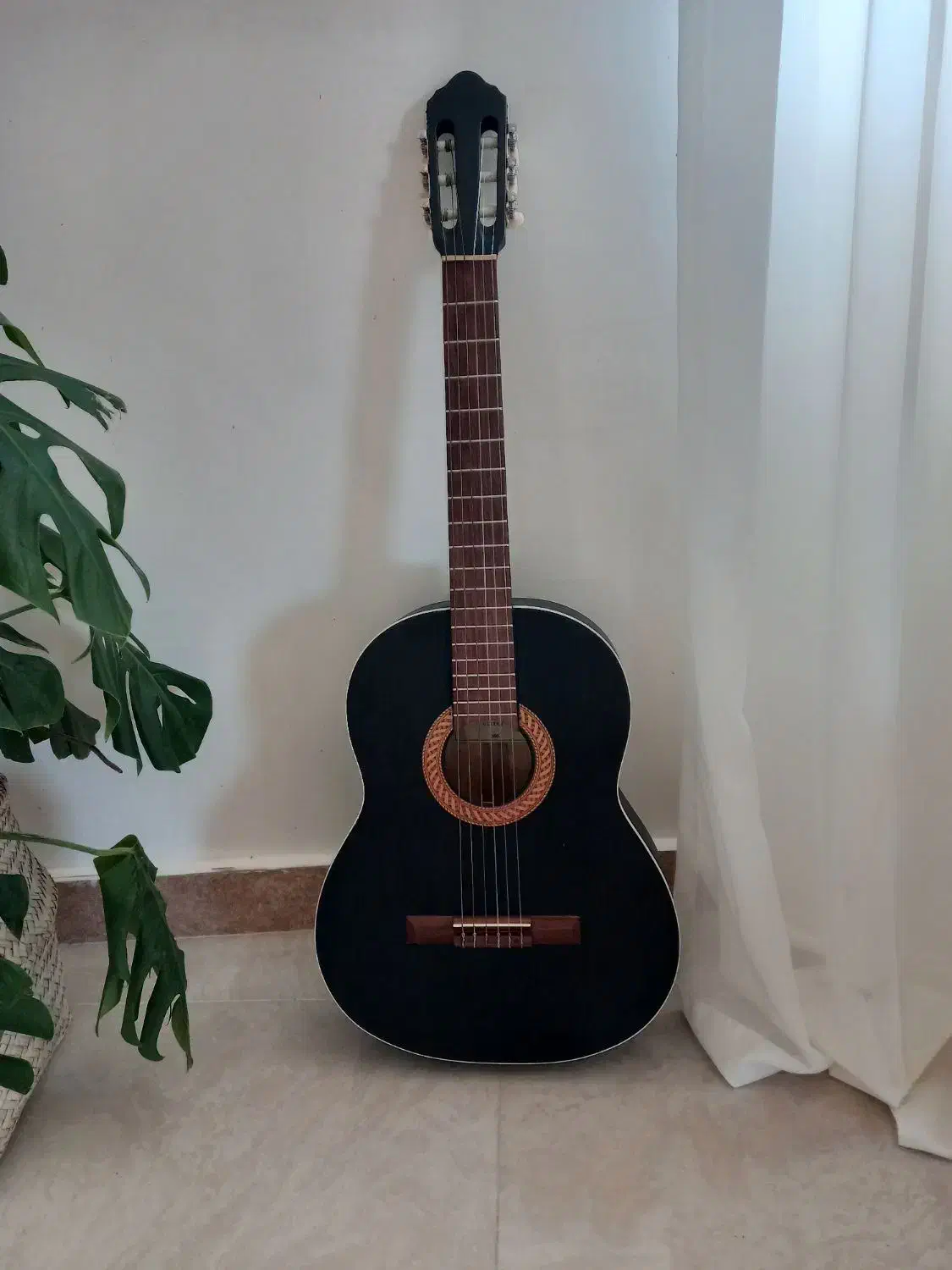 گییتار نو|گیتار، بیس، امپلیفایر|رشت, شالکو|دیوار