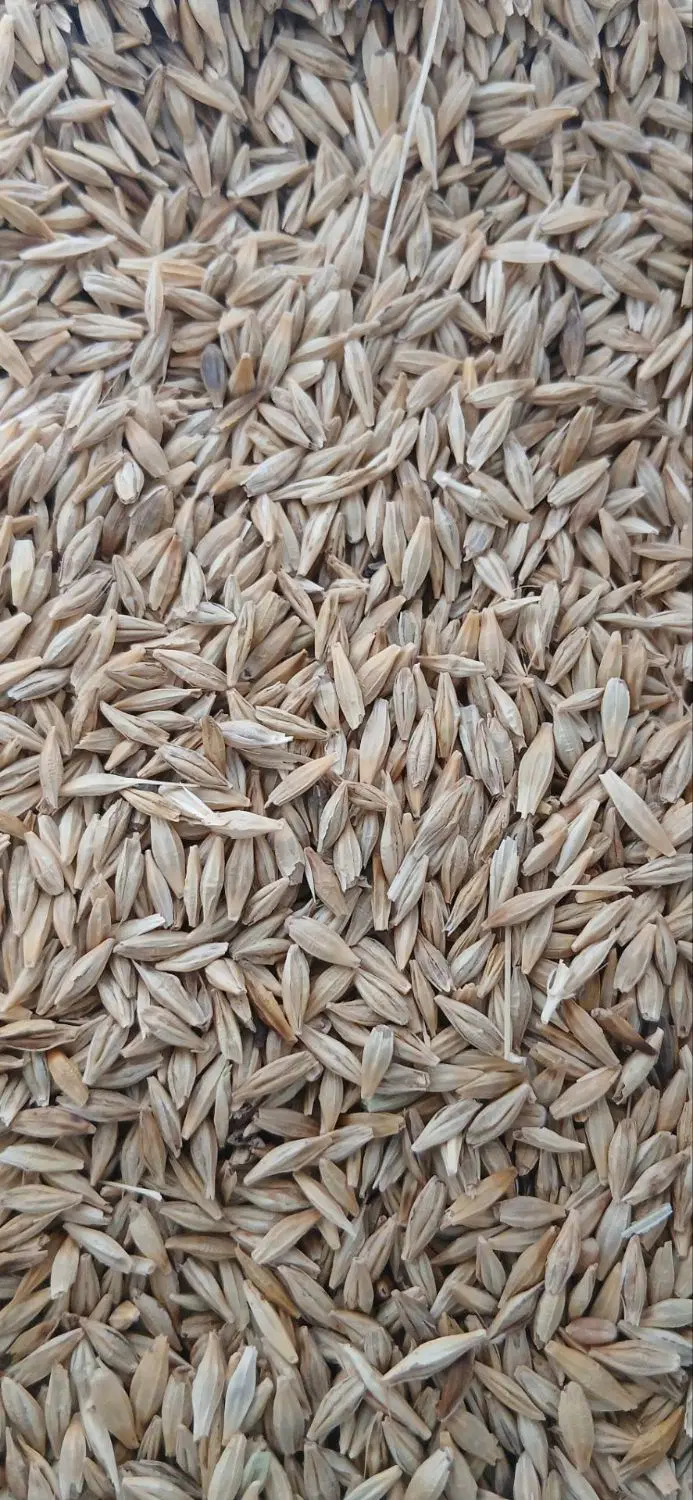 جو محلی|عمده‌فروشی|رودخانه, |دیوار