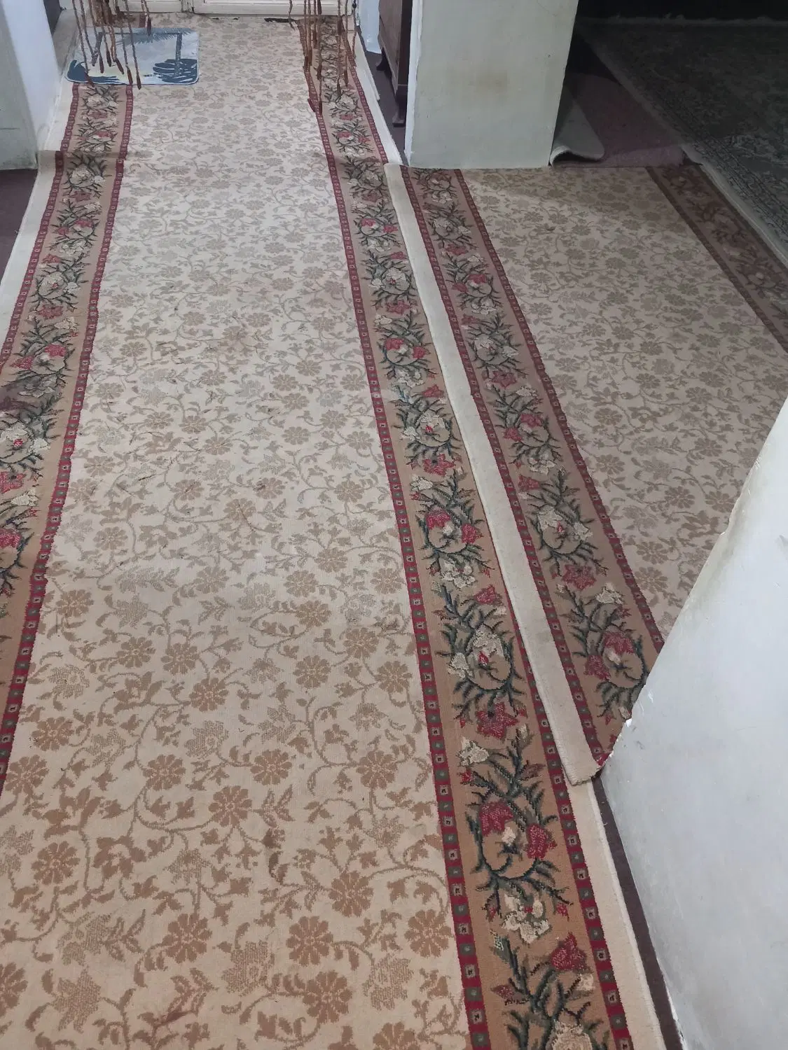 ۶ متری|فرش|زاهدان, |دیوار