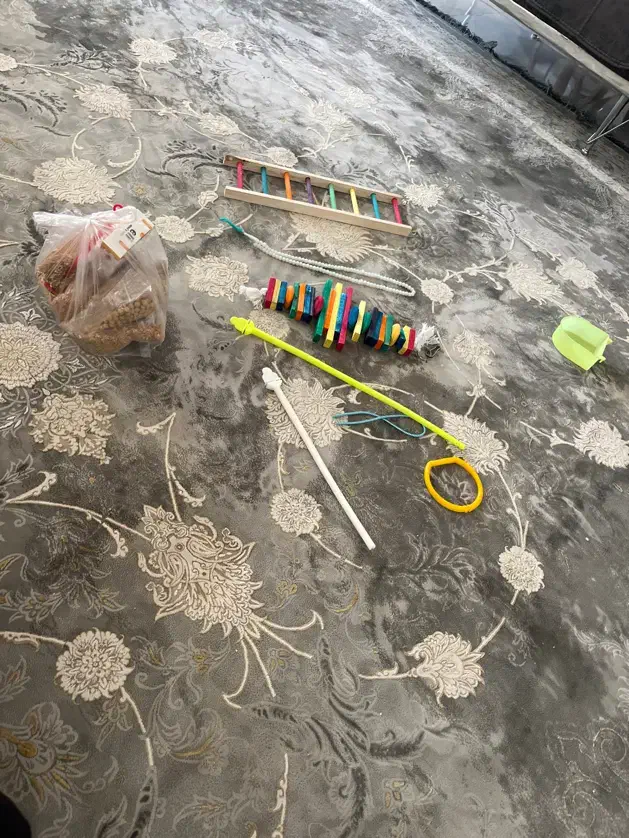 قفس طلایی و لوازم|لوازم جانبی حیوانات|تهران, مسعودیه|دیوار