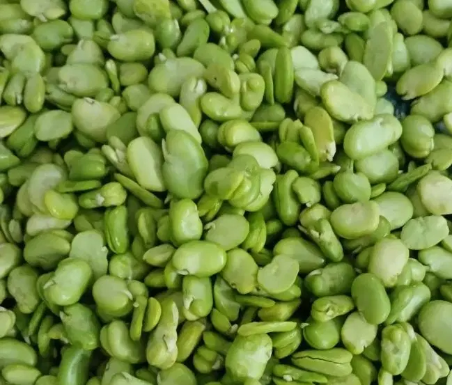 باقالی|خوردنی و آشامیدنی|تهران, یافت آباد جنوبی|دیوار