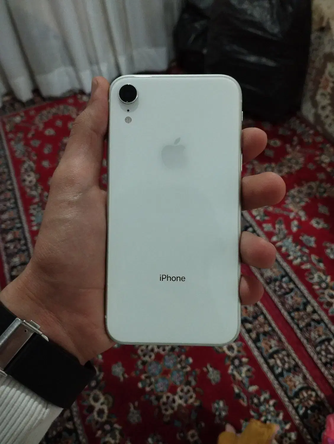 ایفون xr|موبایل|گلستان (تهران), |دیوار