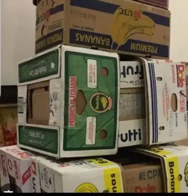 کارتن موز|عمدهفروشی|آزادشهر, |دیوار