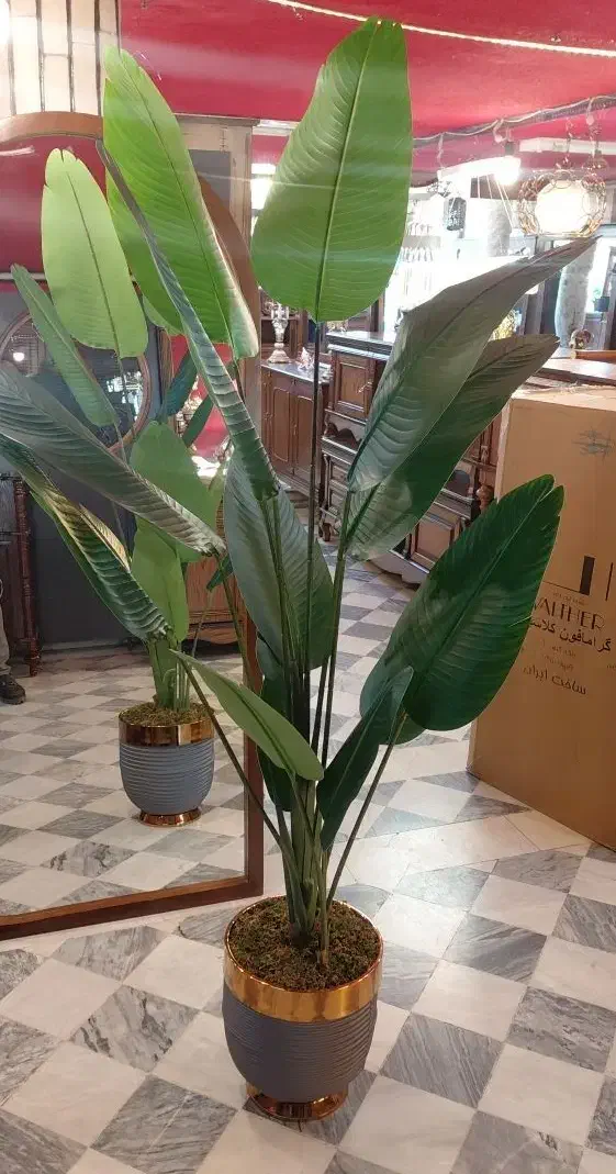 درختچه|گل مصنوعی|بروجرد, |دیوار