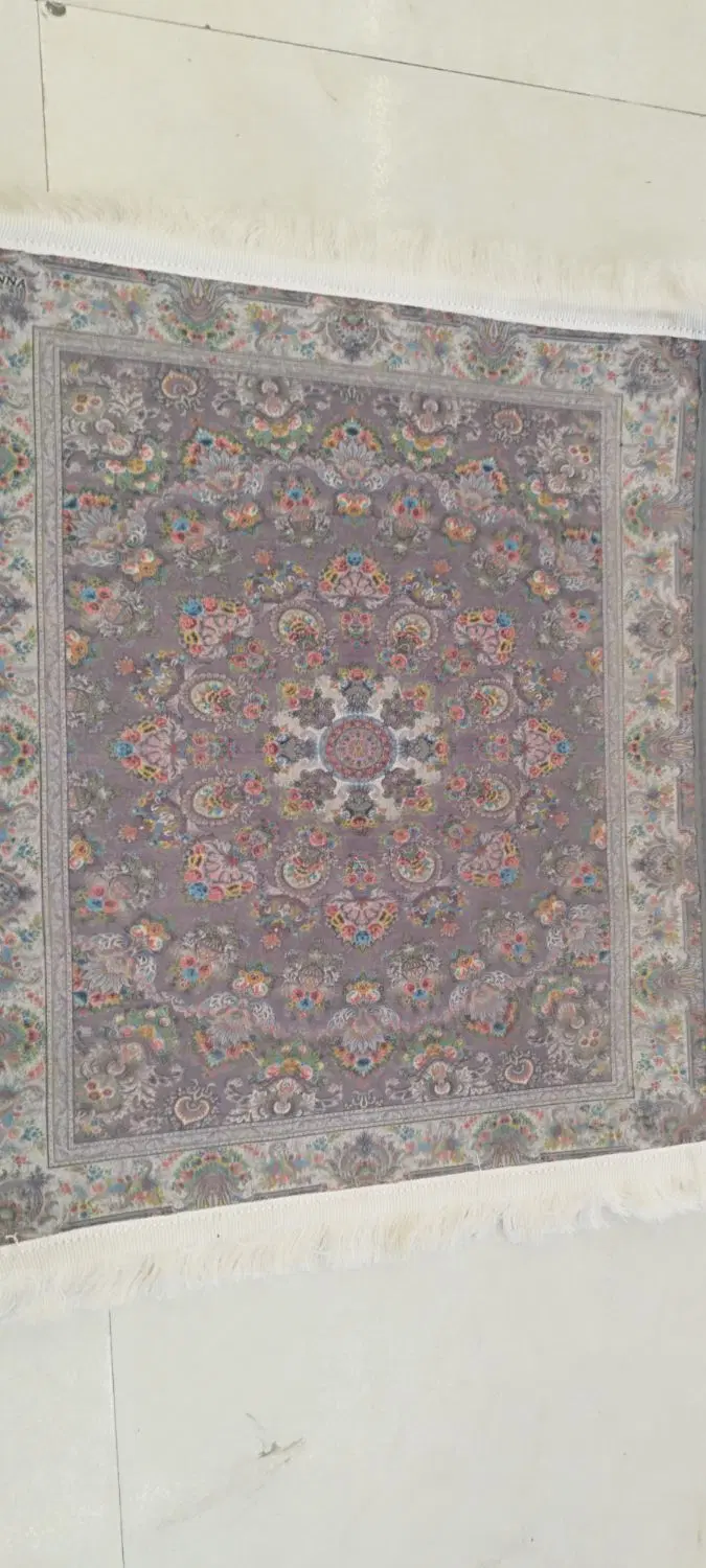 پادری|پادری|مشهد, خواجه ربیع|دیوار