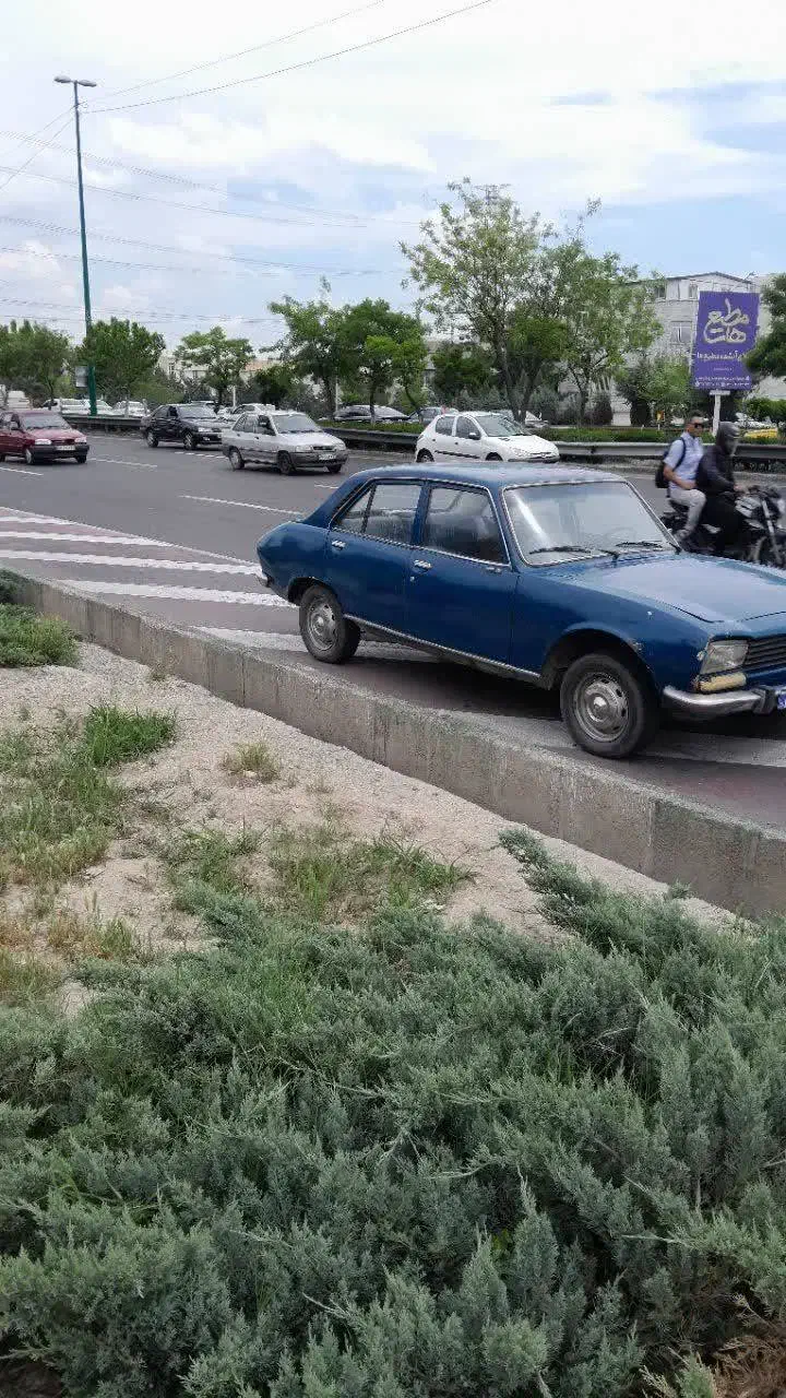 پژو ۵۰۴|خودرو کلاسیک|چهاردانگه (تهران), |دیوار
