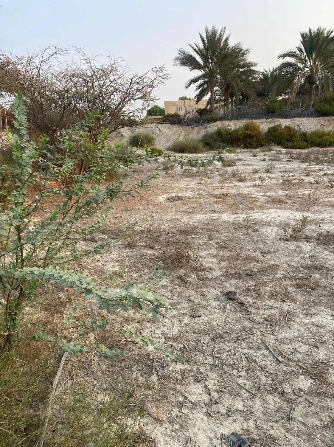 تصویر 4
