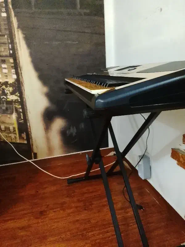 اورگ pa600 OT|پیانو، کیبورد، آکاردئون|رشت, کوی مهر|دیوار