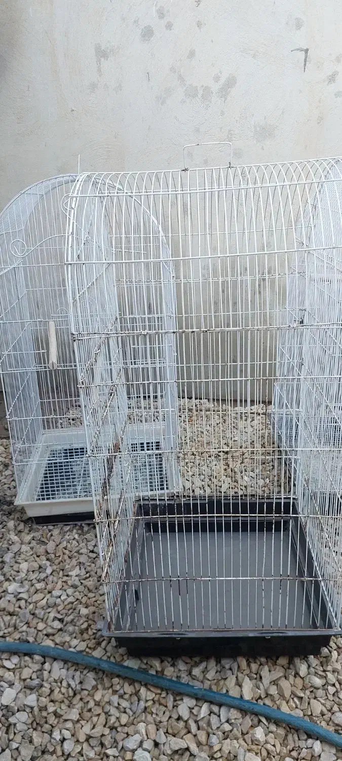 قفس|لوازم جانبی حیوانات|آبپخش, |دیوار