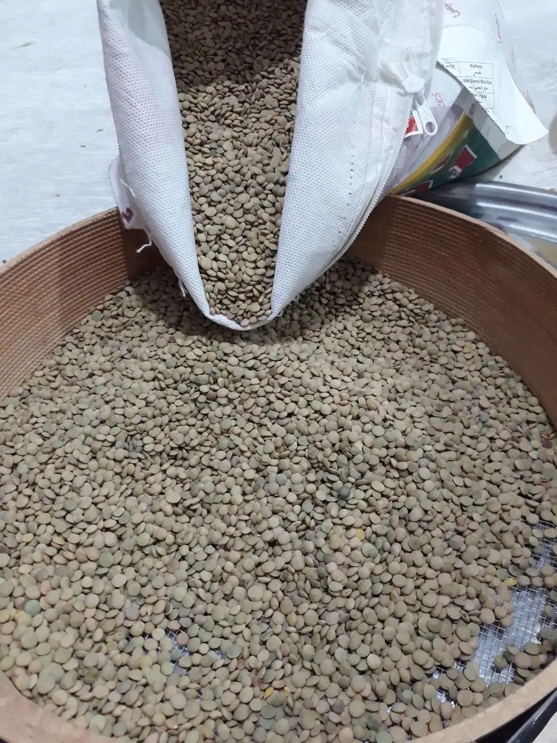 عدس تازه|خوردنی و آشامیدنی|باغستان, |دیوار