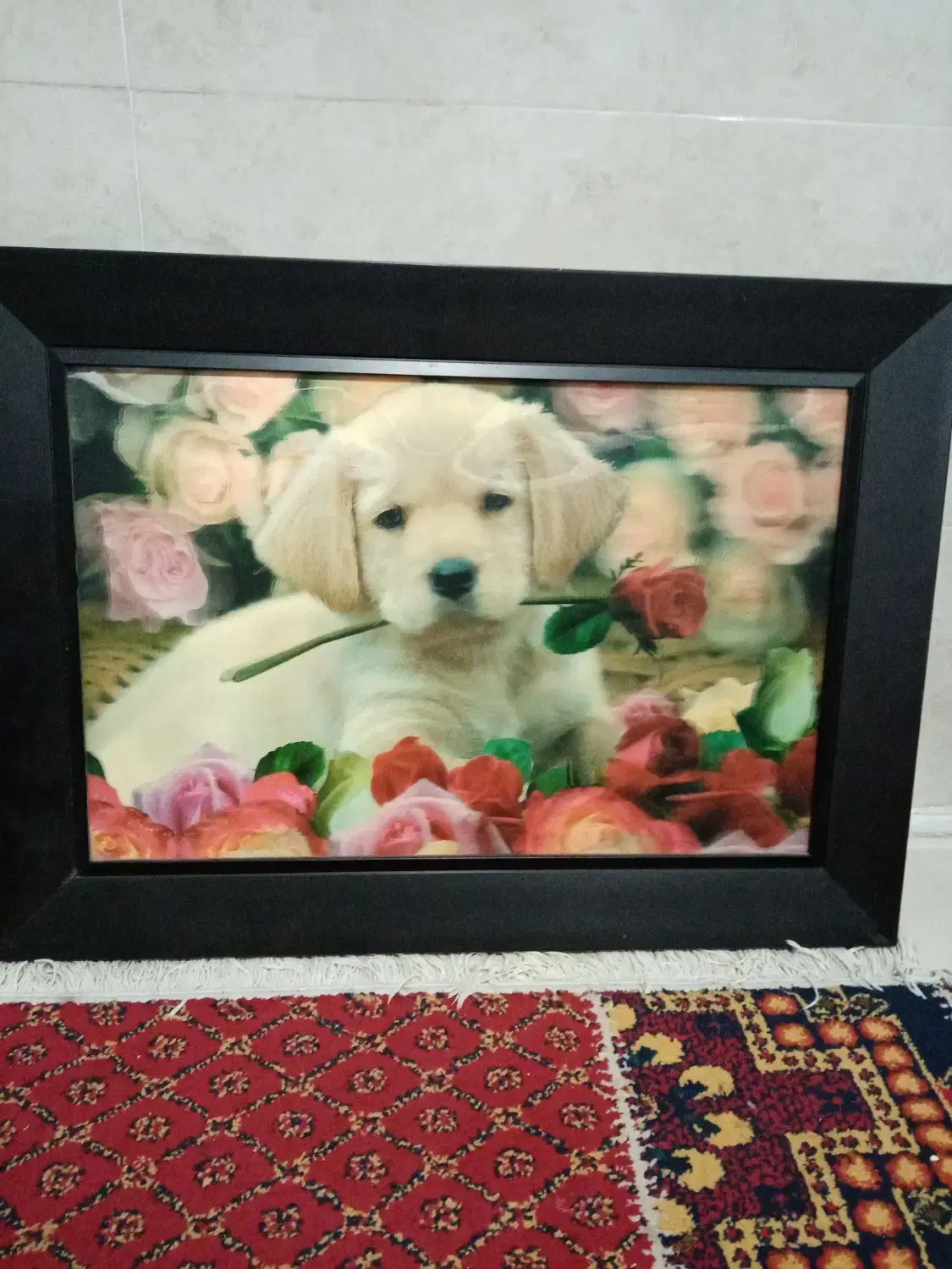 تابلو|تابلو، نقاشی، عکس|شیراز, شیخ روزبهان|دیوار