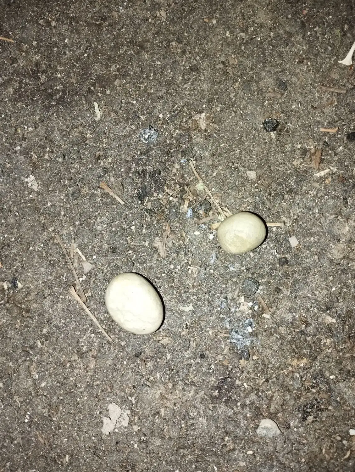 سنگ‌|کلکسیون اشیاء عتیقه|کاشان, درب اصفهان|دیوار