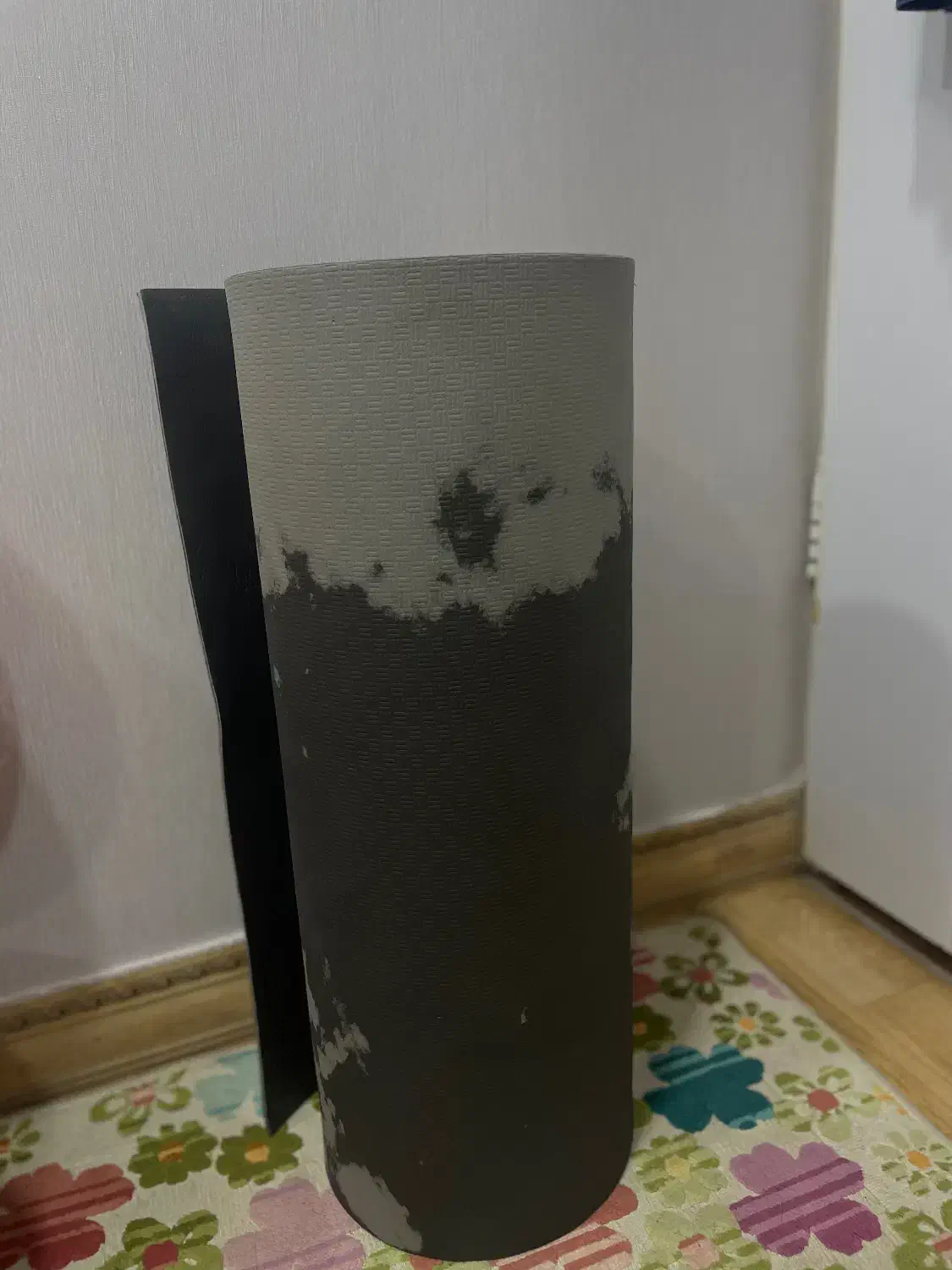 مت یوگا|قطعات یدکی و لوازم جانبی|رشت, کاکتوس|دیوار