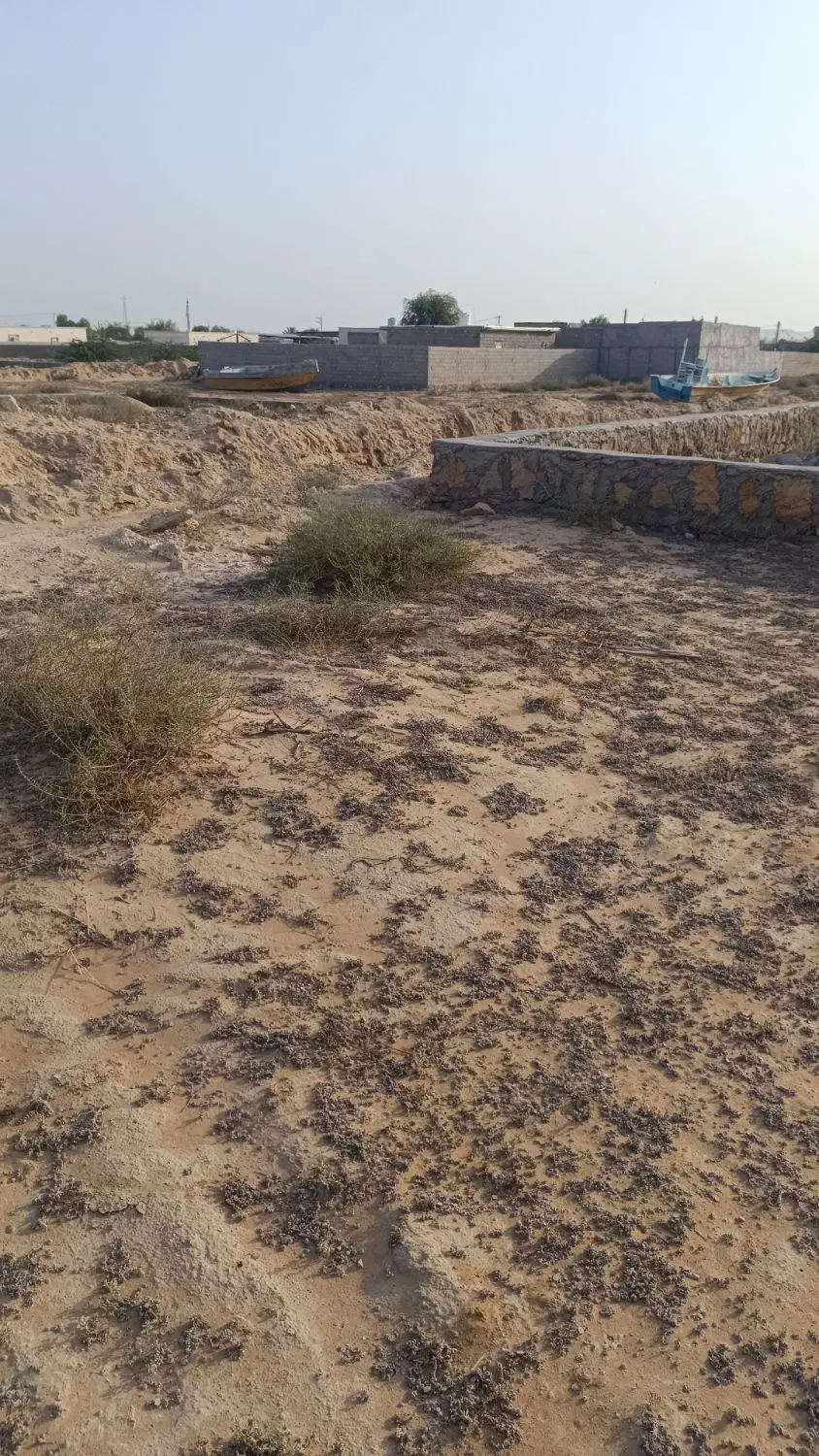 تصویر 4