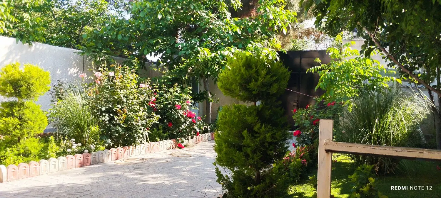 تصویر 19