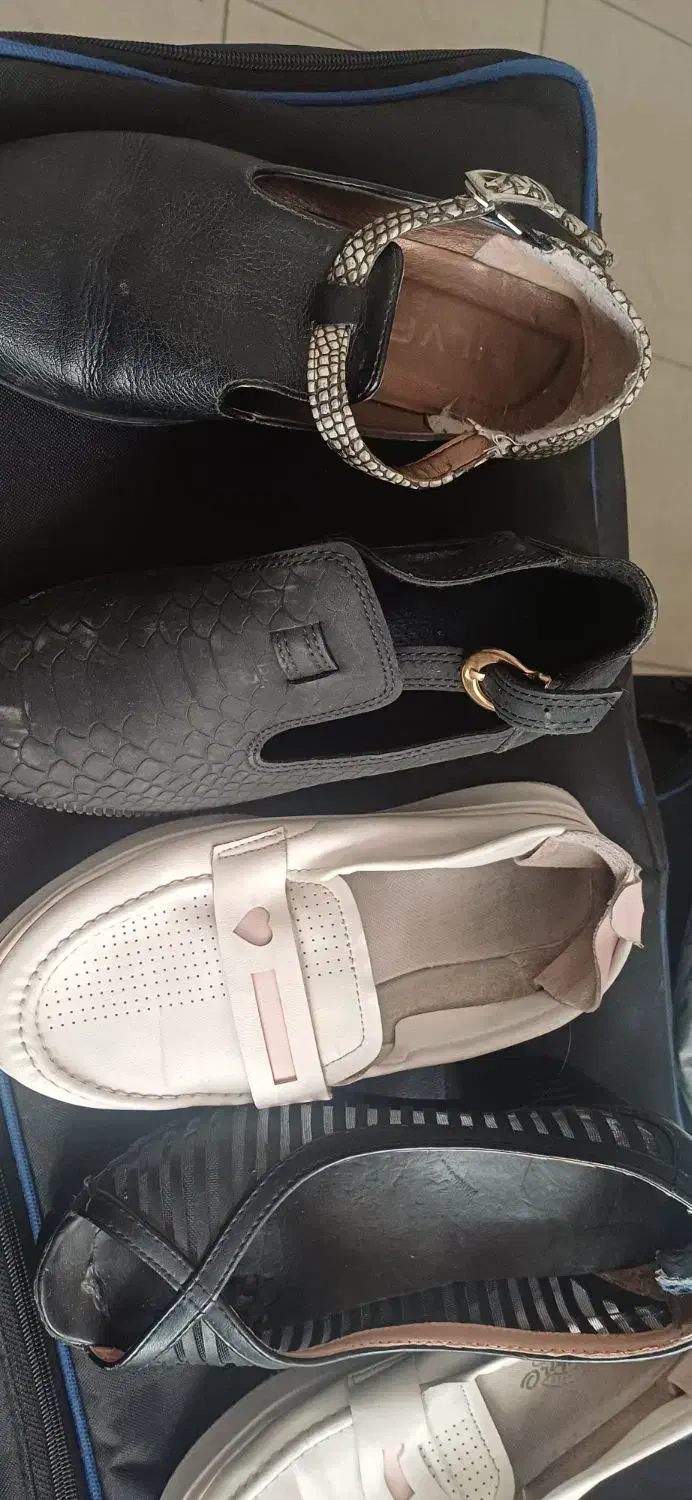 کیف کفش|کیف، کفش، کمربند|شاهرود, |دیوار