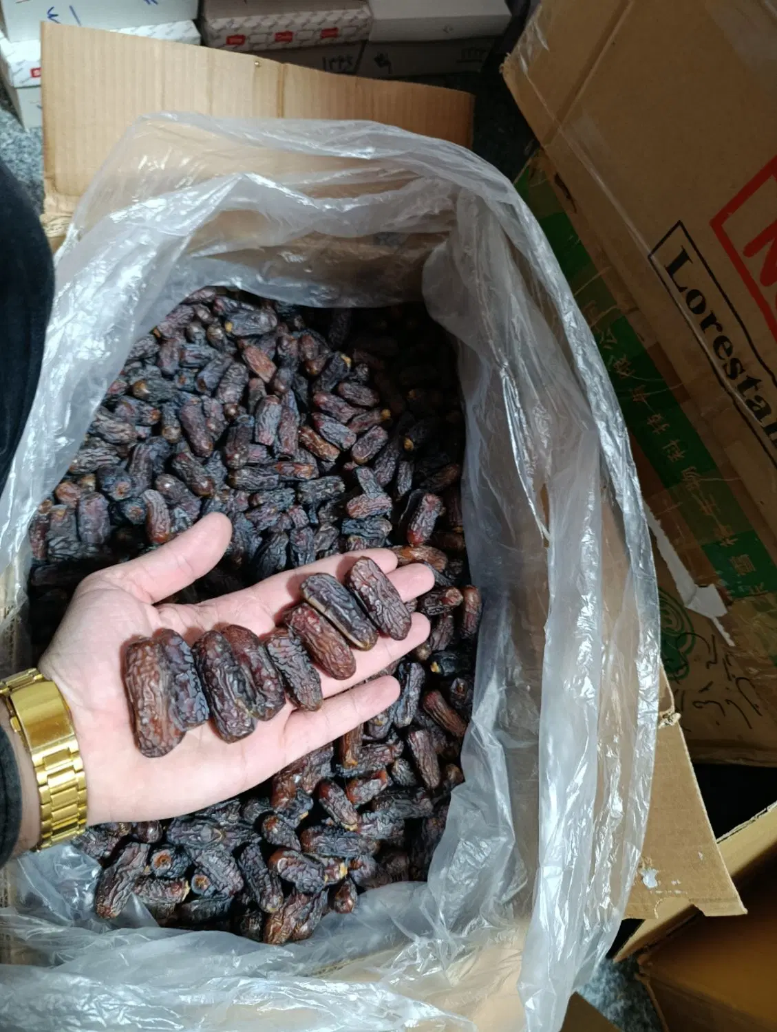 خرما|عمدهفروشی|کنگاور, |دیوار