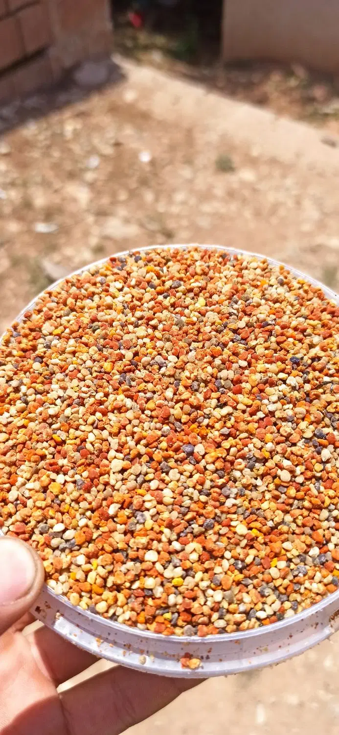 گرده گل|خوردنی و آشامیدنی|خلخال, |دیوار
