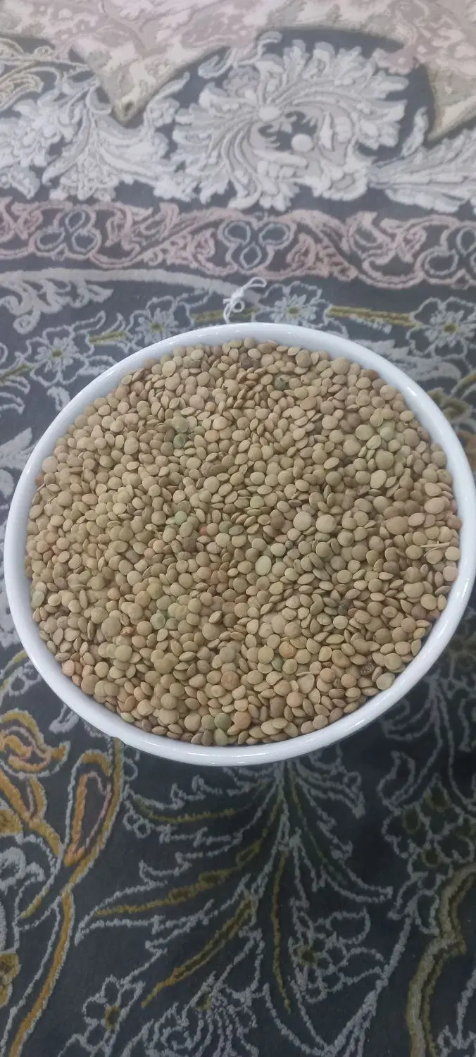 عدس|خوردنی و آشامیدنی|خرم‌آباد, |دیوار