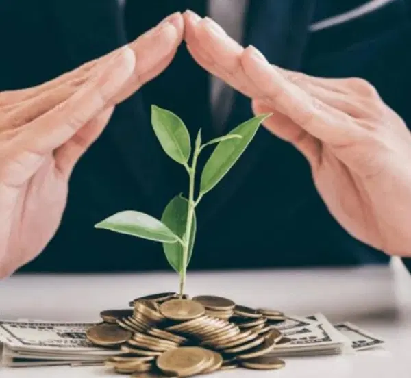سرمایه|استخدام مالی، حسابداری، حقوقی|بندرعباس, |دیوار