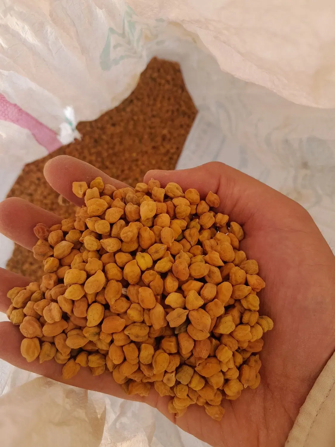 نخود|خوردنی و آشامیدنی|کرانی, |دیوار