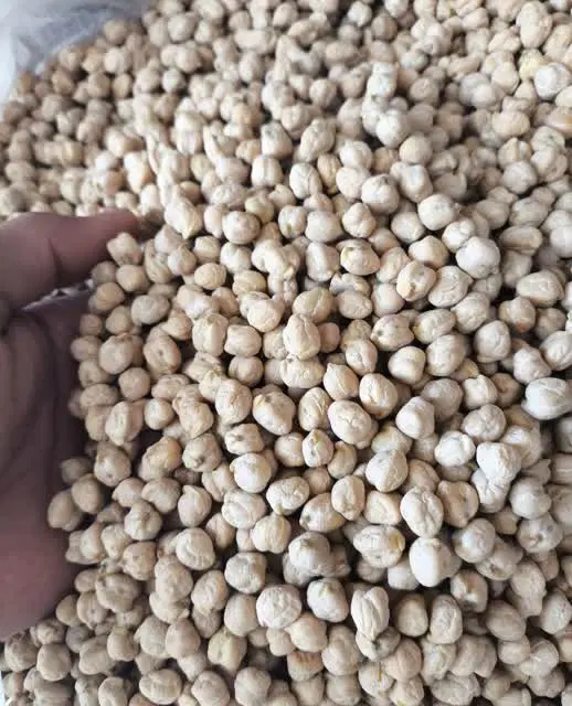 نخود|خوردنی و آشامیدنی|شباب, |دیوار