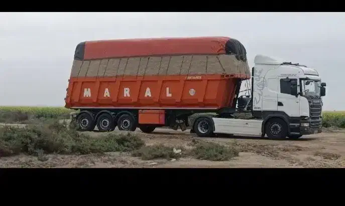 کاه نیشکر|عمده‌فروشی|مشهد, تبادکان|دیوار