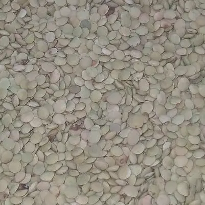 عدس محلی|خوردنی و آشامیدنی|مینودشت, |دیوار