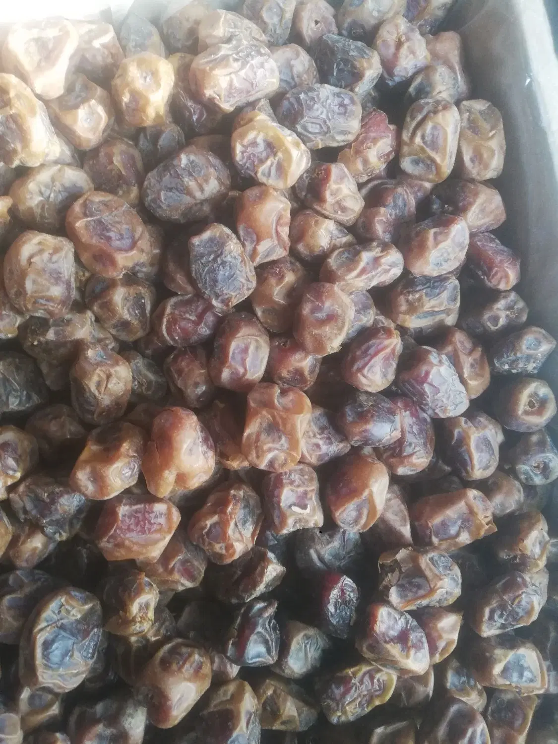 خرما|خوردنی و آشامیدنی|تهران, تجریش|دیوار