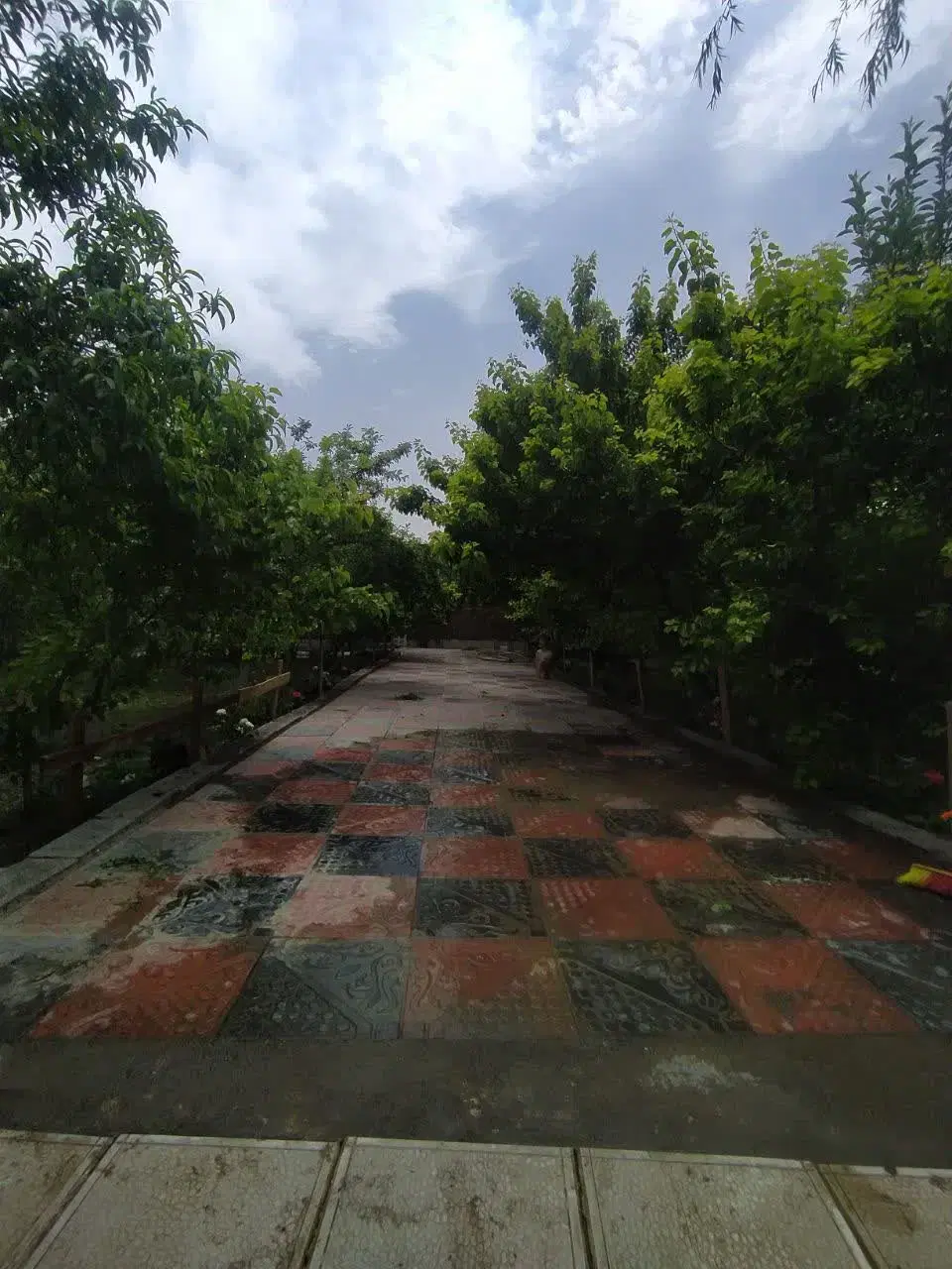 تصویر 10