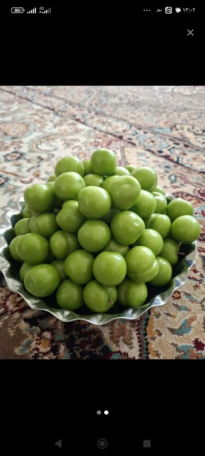گوجه سبز|خوردنی و آشامیدنی|نیشابور, فردوسی جنوبی|دیوار