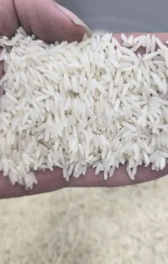 برنج|خوردنی و آشامیدنی|شوشتر, |دیوار