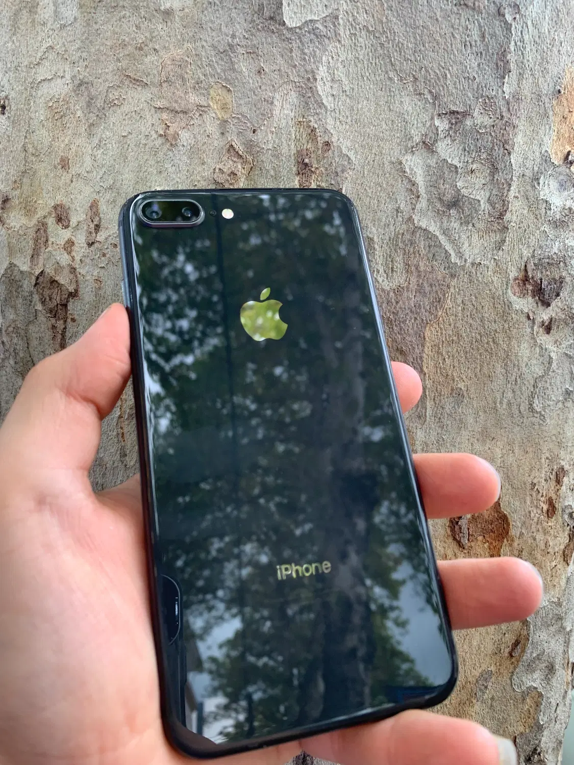8plus 256|موبایل|رشت, پیرسرا|دیوار