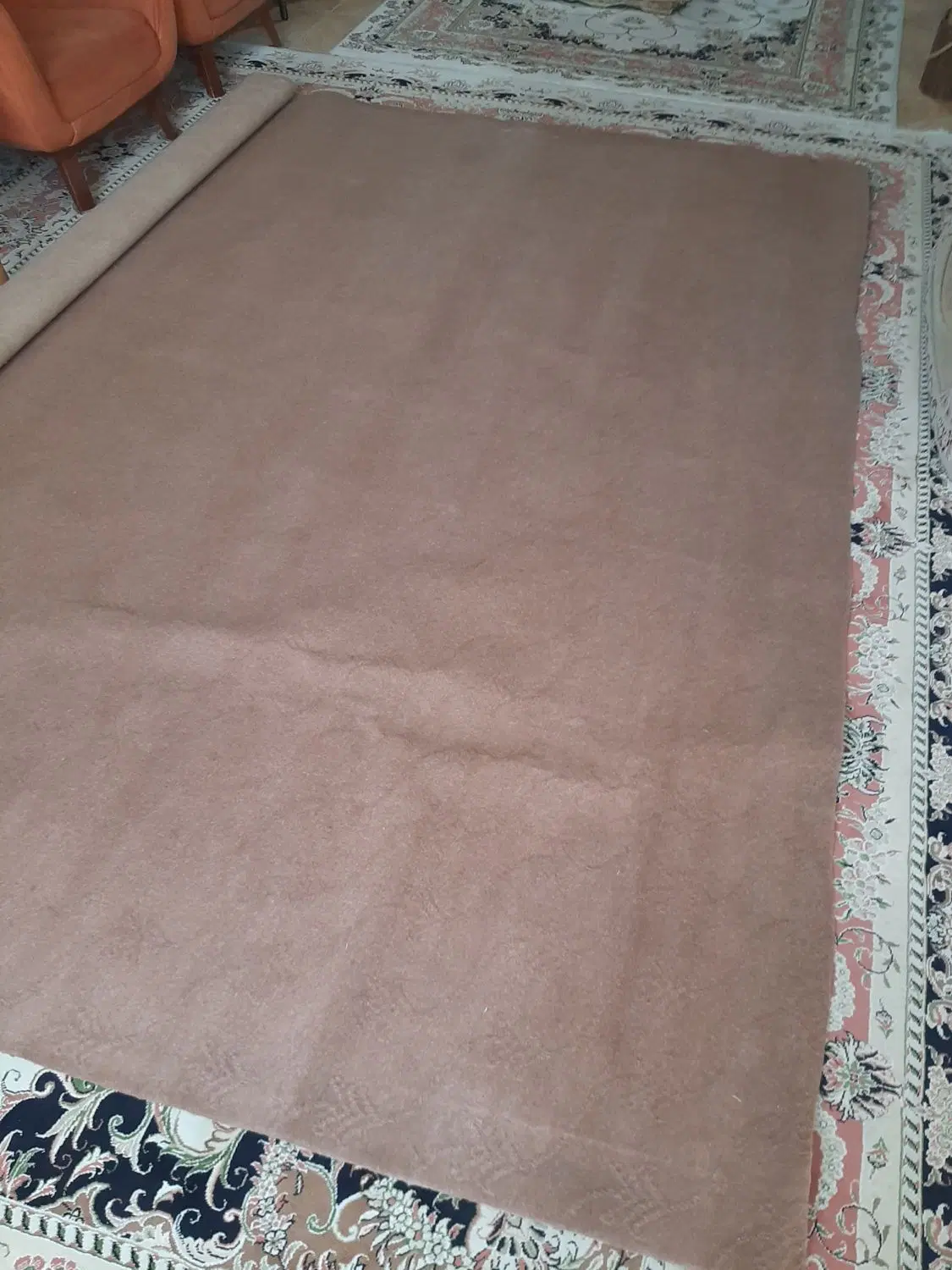 موکت|موکت|ساوه, |دیوار