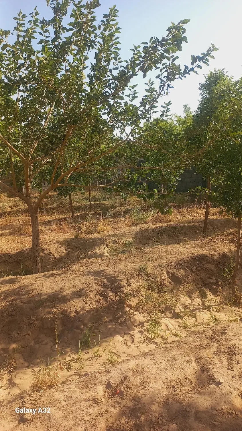 تصویر 2