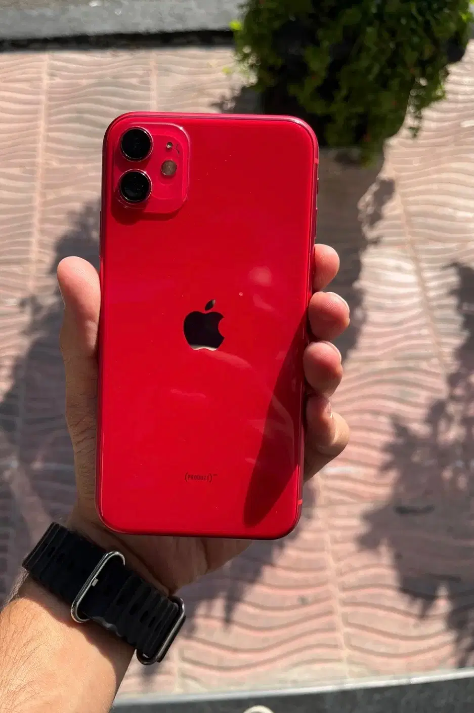 Iphone 11|موبایل|رفسنجان, |دیوار