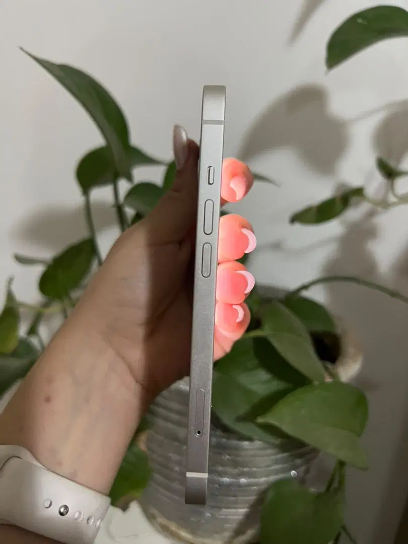iphone13|موبایل|تهران, دیلمان|دیوار