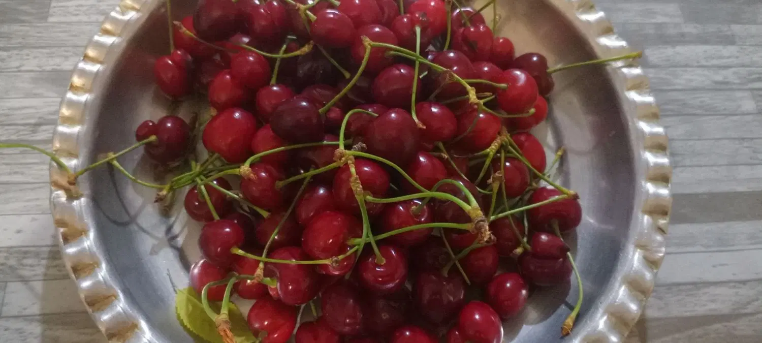 گیلاس|خوردنی و آشامیدنی|نهاوند, |دیوار