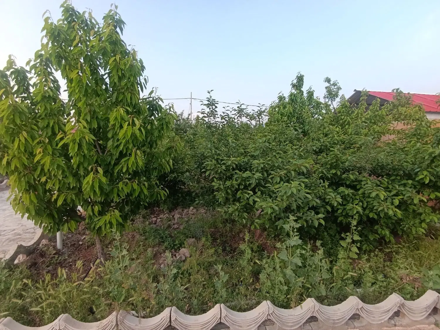 تصویر 13