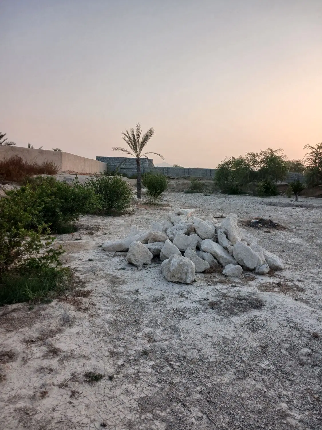 تصویر 11