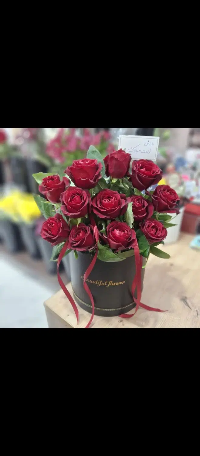 گل فروشی|گل و گیاه طبیعی|شیراز, شهرک پرواز|دیوار