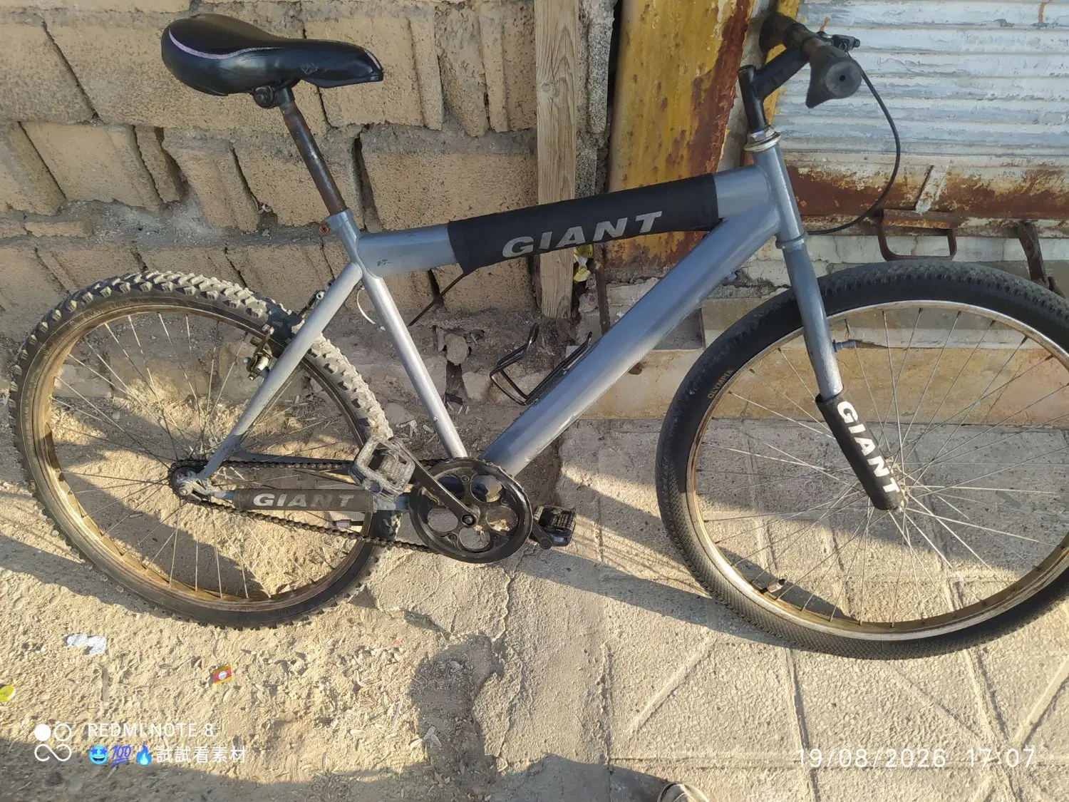 دوچرخه 26|دوچرخه، اسکیت، اسکوتر|جهرم, |دیوار
