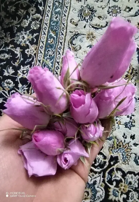 گلاب دستی|خوردنی و آشامیدنی|سبزوار, اسلام آباد|دیوار