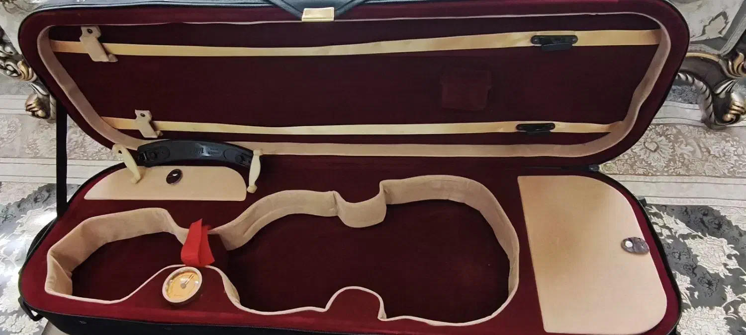 تی اف 800 tf|ویولن|اصفهان, باغ زرشک|دیوار